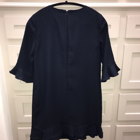 CeCe by Cynthia Steffe Kate Ruffle Hem Shift Dress - Picture 4 of 6